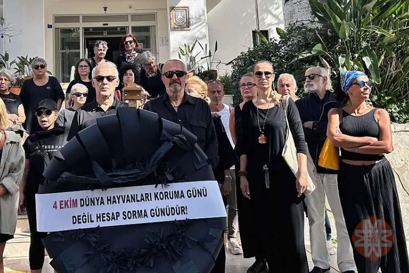 Bodrum haberleri; Bodrum haber 1