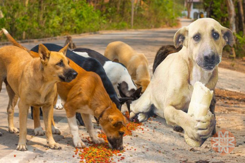 Yaşam haberleri; Yaşam haber 1