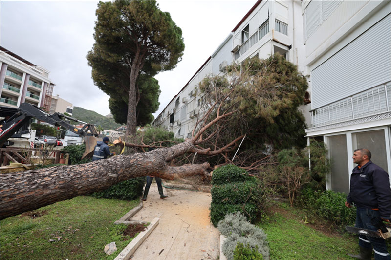 Marmaris'te 40 kamyon atık toplandı 2