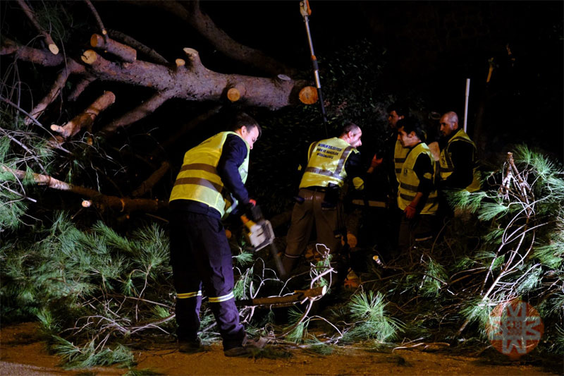 Muğla Genel haberleri; Muğla Genel haber 1
