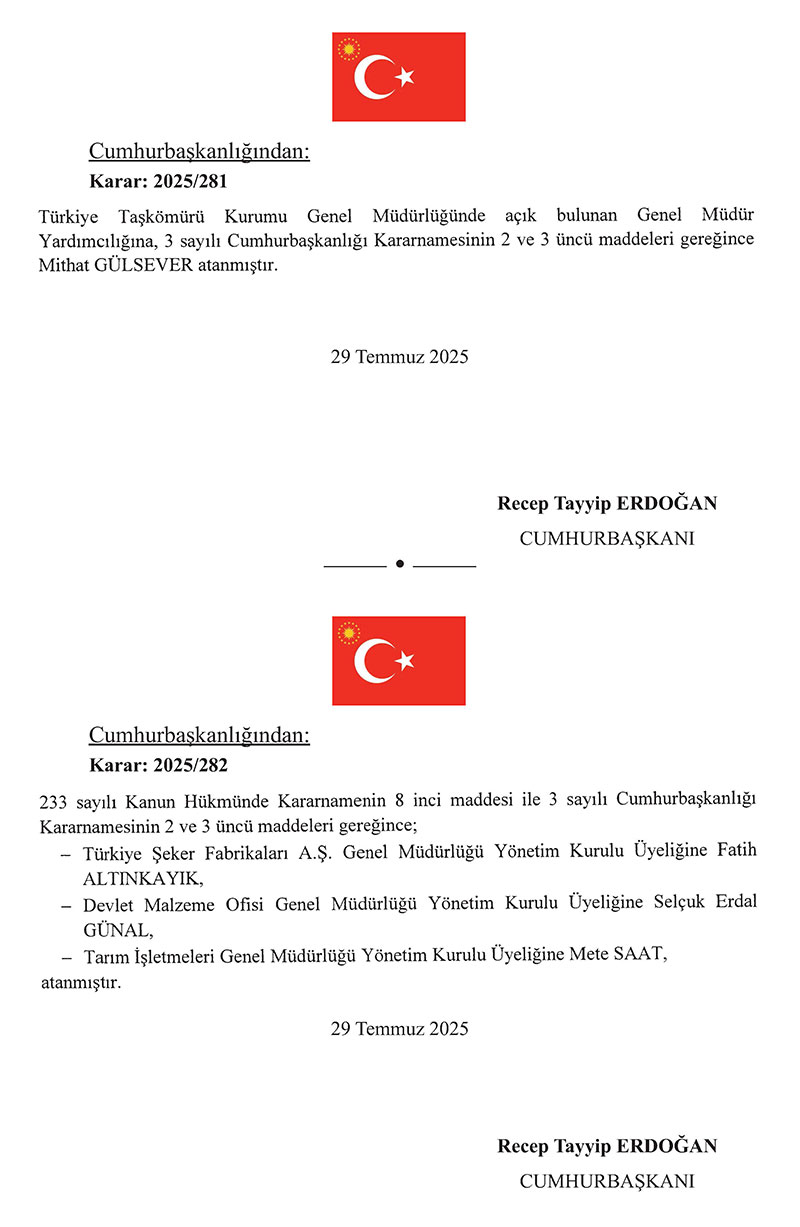Cumhurbaşkanlığı 2025/276 sayılı Atama Kararı 4