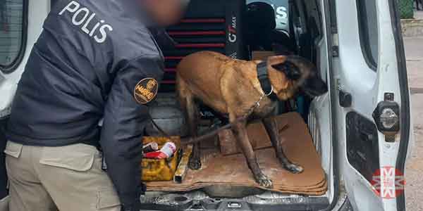 Muğla genel Haberleri