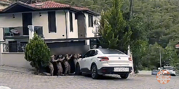 Seydikemer Daltonlar operasyonu, Mayıs 2026 1