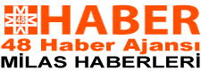 48 Haber Logo