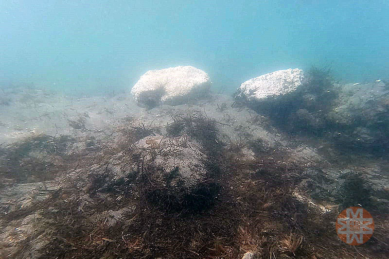 Bodrum’da sualtı tahribatı iddiası 2