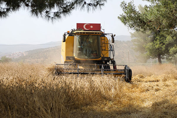 Bodrum Belediyesi haberleri