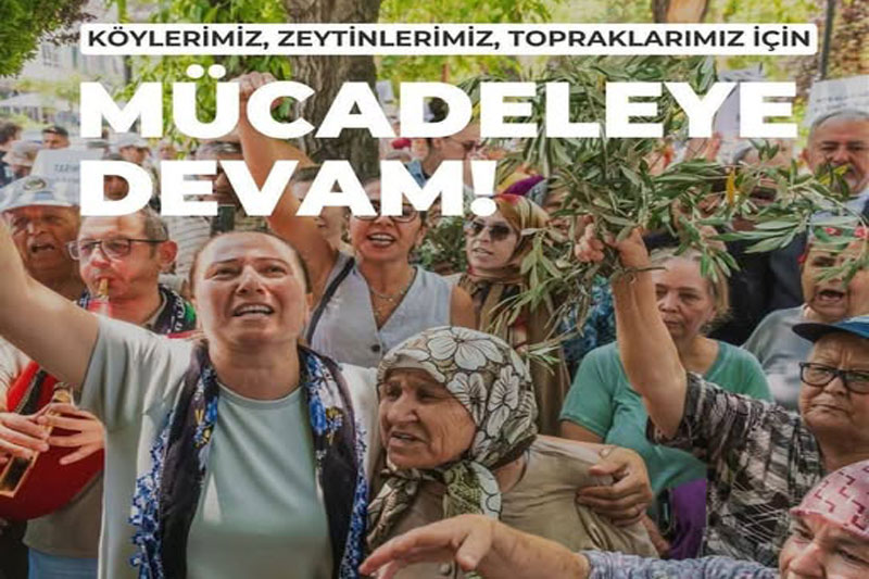 Yaşam haberleri; Yaşam haber 1