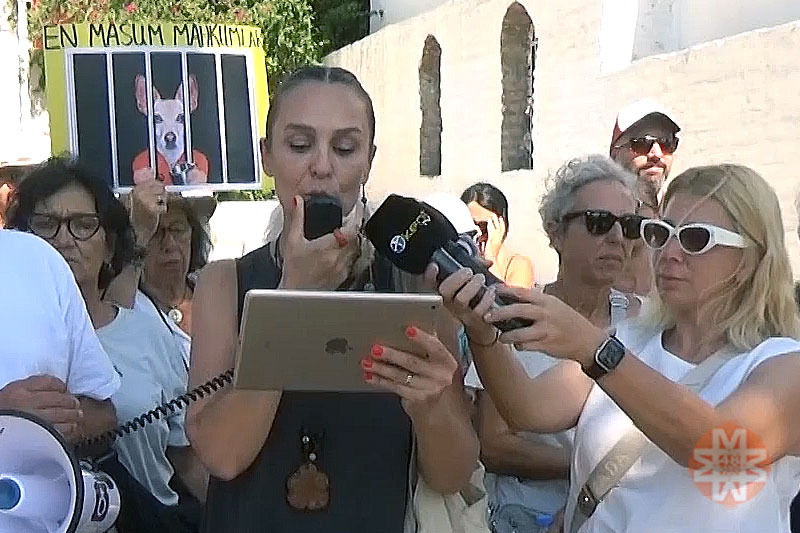 'Yaşam Hakkı Savunucuları' Kaymakamlıkların önündeydi 2