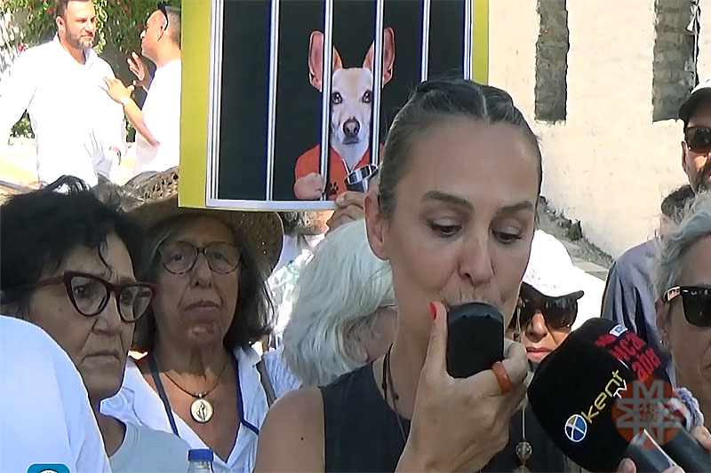 'Yaşam Hakkı Savunucuları' Kaymakamlıkların önündeydi 3