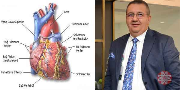 Hayatın içinden Haberler