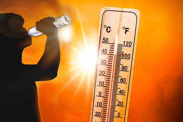 Hayatın içinden Haberler