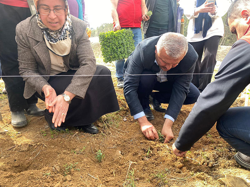 Kavaklıdere'de "Tıbbi, aromatik bitki bahçesi", Nisan 2024 3