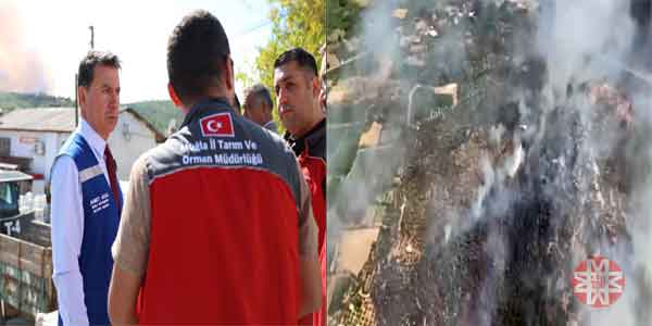 Aras, Milas orman yangını 4 Temmuz 2025