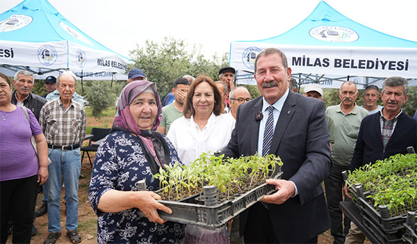 Milas Belediye Başkanı Fevzi Topuz ata tohumu hediye etti (Görsel Milas Belediyesi)