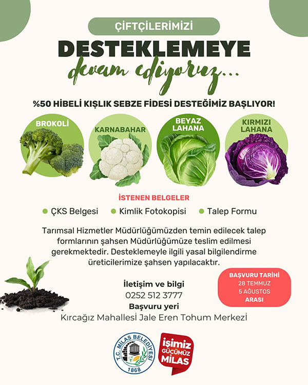 Milas Belediyesi hibe kışlık sebze fidesi, Temmuz 2025