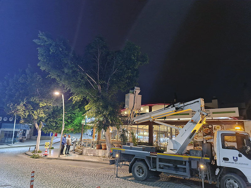 Muğla, Bodrum Fırtına, 22 Ocak 2026 5