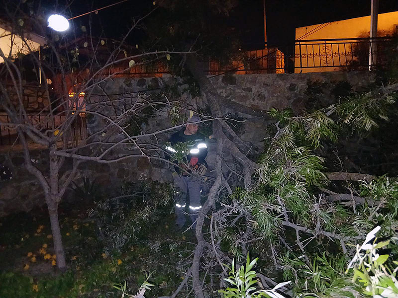 Muğla, Bodrum Fırtına, 22 Ocak 2026 6