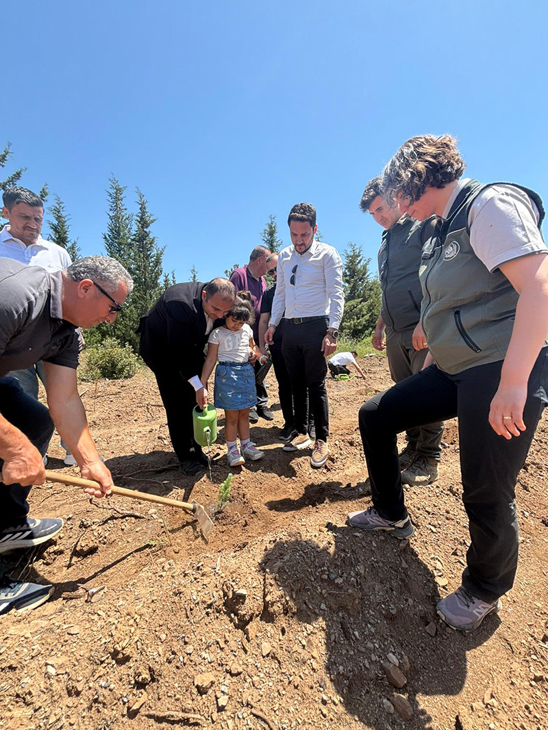 Bodrum'da Aile Yılı ve Anneler Günü için fidan dikildi 4