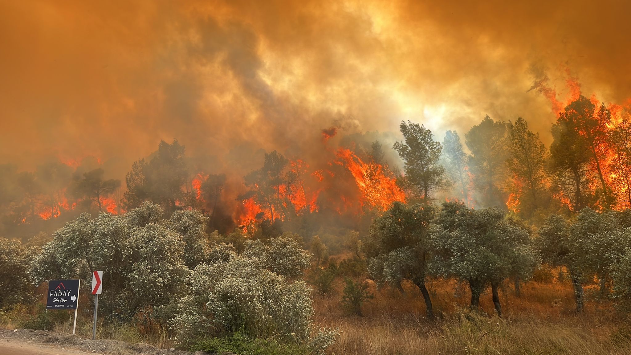 Bodrum haberleri; Bodrum haber 1