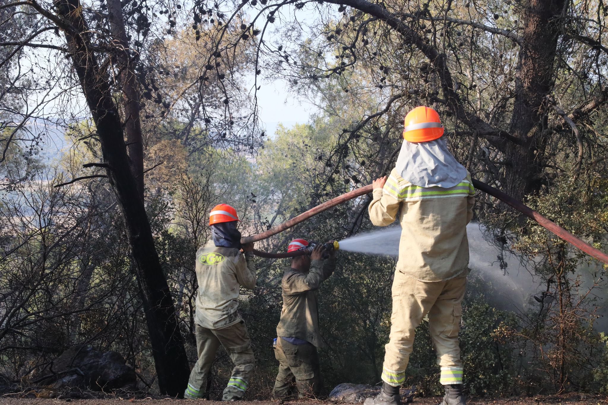 Orman yangınına müdahale, OGM ekipleri