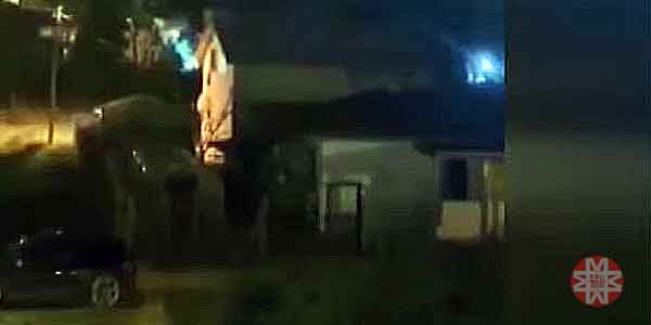 IŞİD operasyonu; 3 polis şehit, 29 Aralık 2025 2