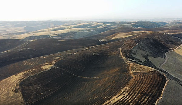 Anız yangınında facia; 11 ölü 2