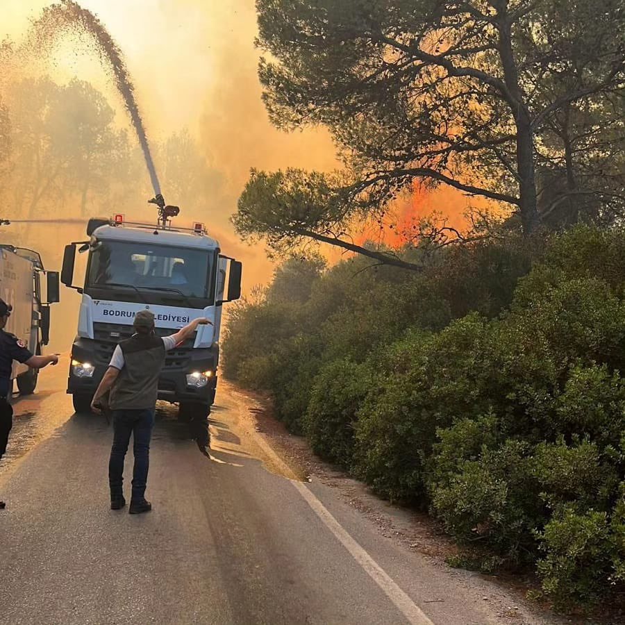 Orman yangını, Arşiv - 48 Haber Ajansı