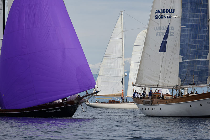 Maximiles Black 37. The Bodrum Cup 2
